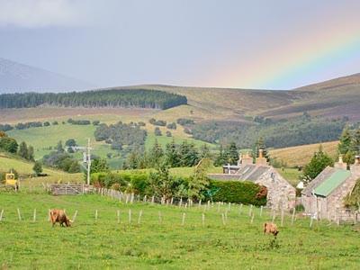 Honey Cottage Auchnarrow Buitenkant foto